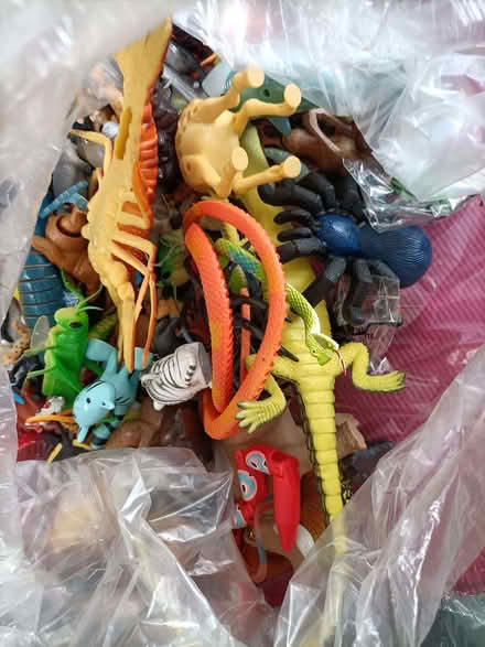 Photo of free Toy animals (Lychpit RG24) #1