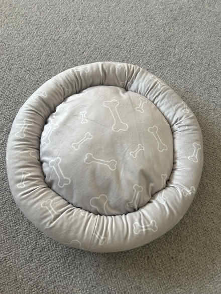 Photo of free Small pet bed (Park street st albans AL2) #1