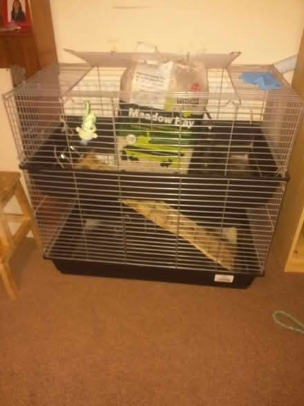 Photo of free 2 tier guinea rabbit cage (South harrow) #2