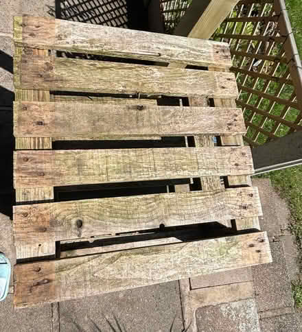 Photo of free Small size pallets (Belper DE56) #2