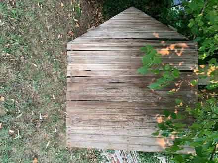 Photo of free shed panels (Willington MK44) #1