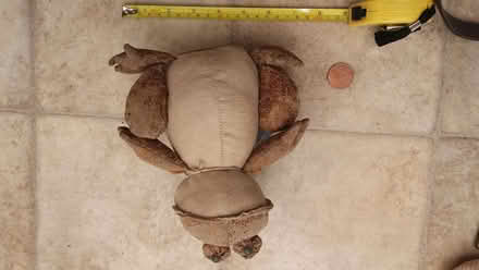 Photo of free paper weight, large frog (Crosspool S10) #1