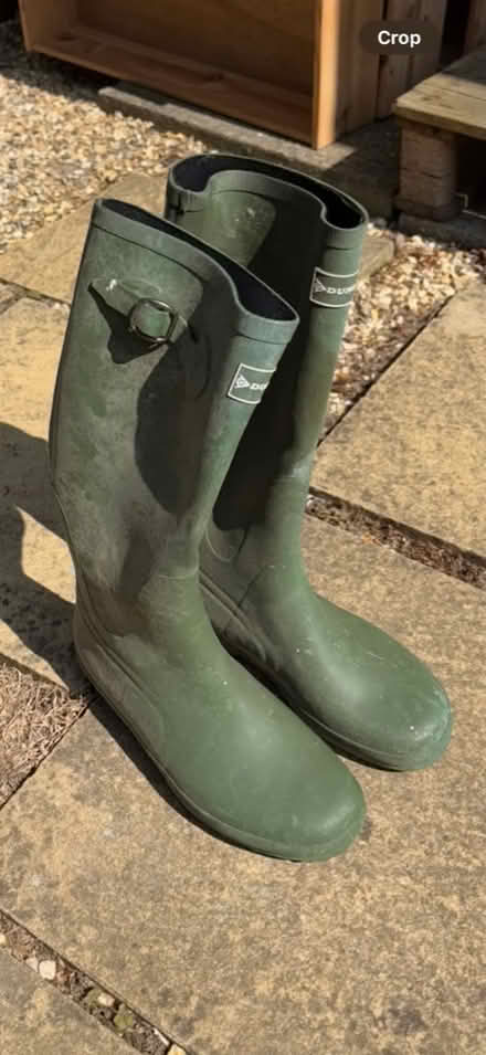 Photo of free Dunlop Wellies Green Size 8 (Bradford on Avon BA15) #1