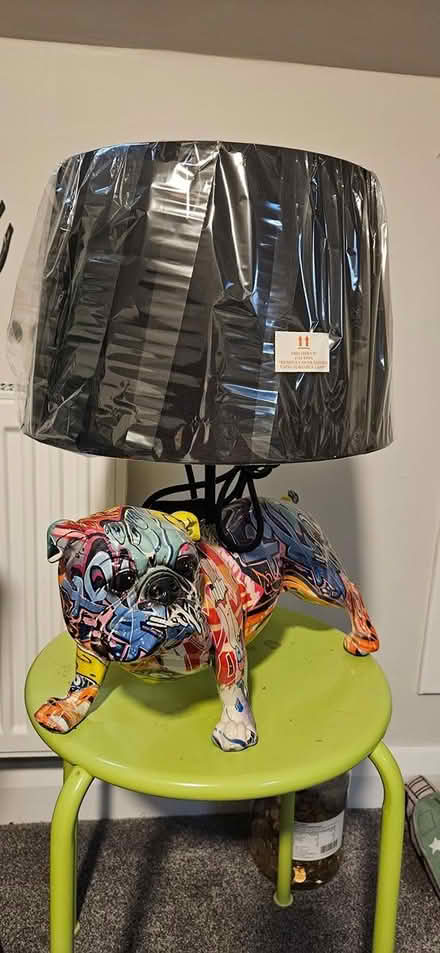 Photo of free Lamp (Dublin15 Carpenterstown) #3