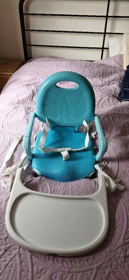 Photo of free Child's seat (Bagshot GU19) #1