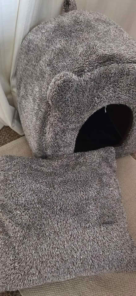 Photo of free Cat bed (Horndean PO8) #2