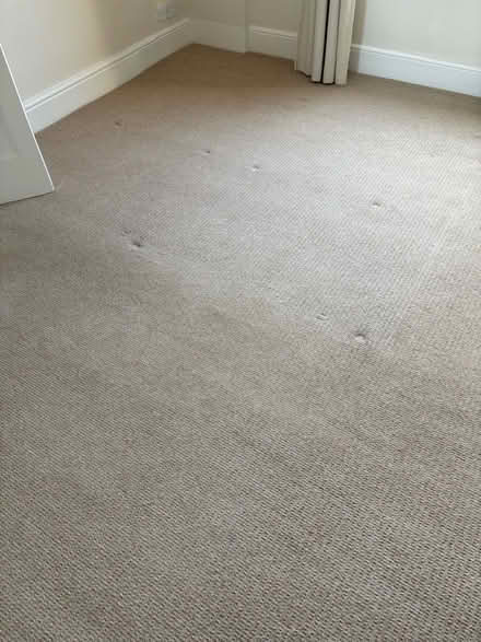 Photo of free Carpet (Charlton Kings GL52) #1