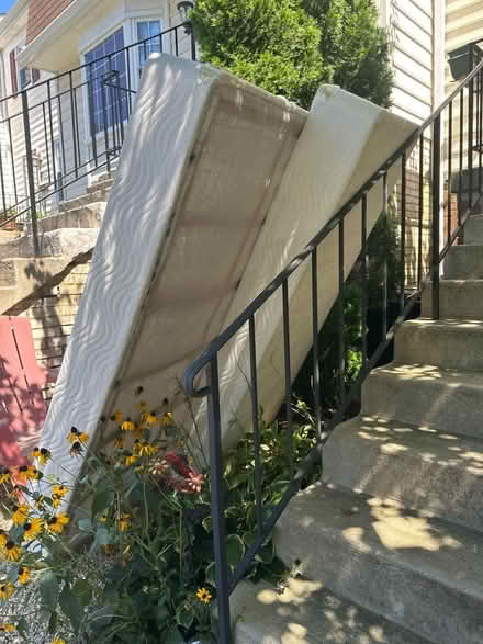 Photo of free Box springs, bed frame, head board (Crofton) #1