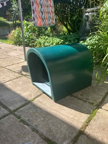 Photo of free Cathouse (Rusthall) #2