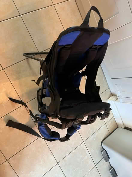 Photo of free Vango Champ Baby Carrier (Wheatpieces) #3