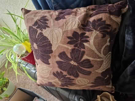 Photo of free Large brown cushion (Moseley B13) #1