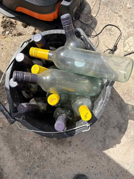 Photo of free Assorted wine bottles (Tinshill LS16) #1
