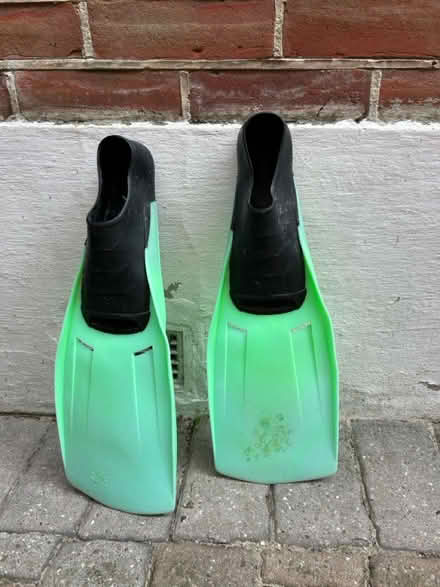 Photo of free Flippers/Fins (Southbourne BH6) #1