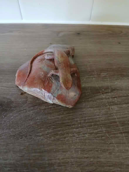 Photo of free Lizard ornament (Cheddington LU7) #1