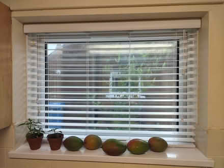 Photo of free 2 x Wooden Venetian blinds (Elswick Preston PR4) #1