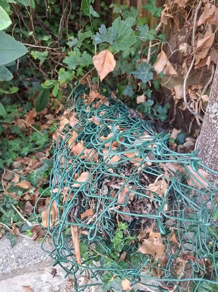 Photo of free Green wire mesh fencing (Eaton NR4) #2