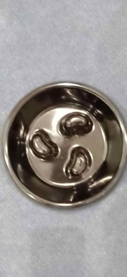 Photo of free Dog's slow feeding bowl (Old town Eastbourne) #1