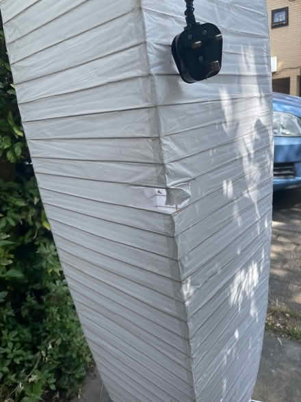Photo of free Tall rice paper bamboo lamp (Cambridge CB4) #3
