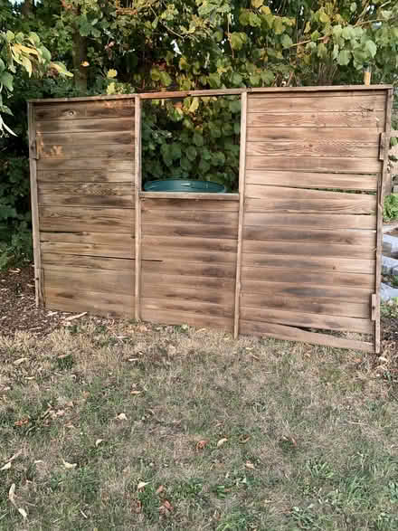Photo of free shed panels (Willington MK44) #2