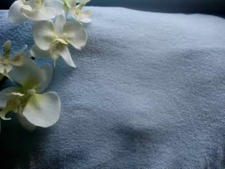 Photo of free Fitted sheets double size+mat+slats (Edinburgh EH17) #1