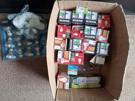 Photo of free Old Light Bulbs (Mickleover DE3) #1