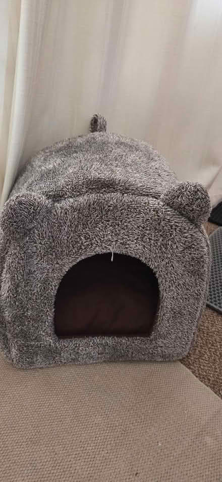 Photo of free Cat bed (Horndean PO8) #1