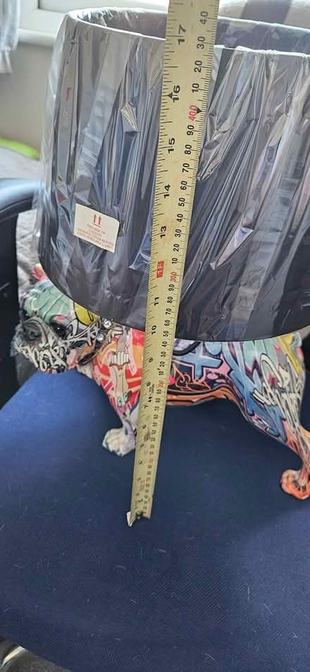 Photo of free Lamp (Dublin15 Carpenterstown) #4