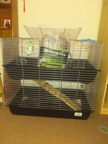 Photo of free 2 tier guinea rabbit cage (South harrow) #1