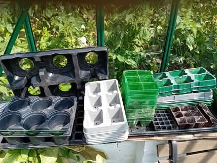 Photo of free Plastic plant pot trays (Kingston Hill ST18) #1