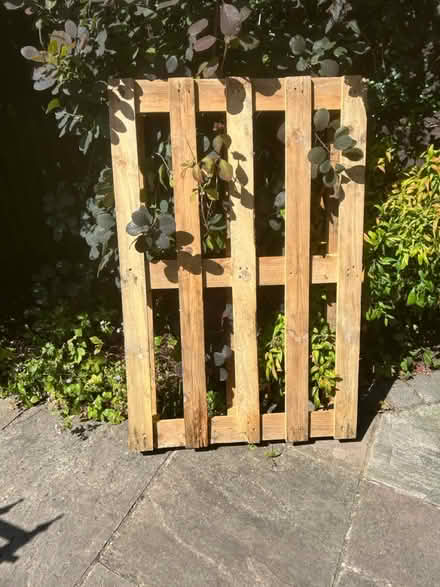 Photo of free Wooden pallet for diy project (Teddington TW11) #1