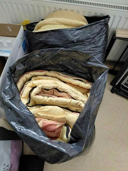 Photo of free Sleeping bags (St Mary Cray) #1