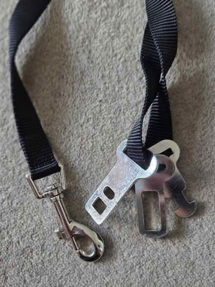 Photo of free Rear car seat cover for dogs with seat belt attachments (Little Heath RG31) #2