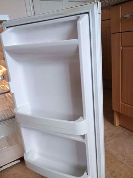 Photo of free Undercounter larder fridge (455cm wide) (Hillsborough S6) #2