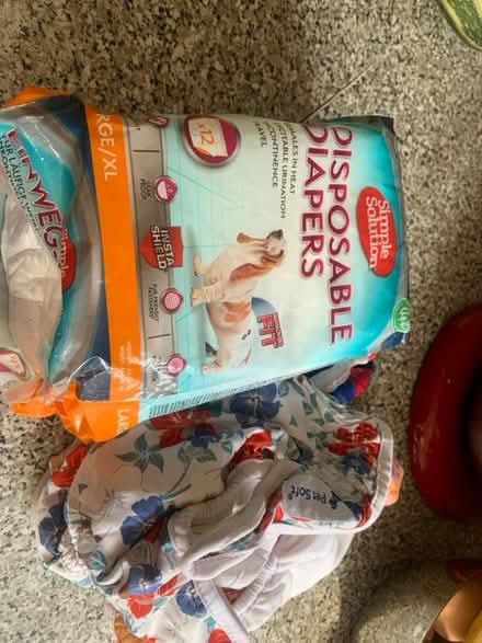 Photo of free Dog nappies (Chesham HP5) #1