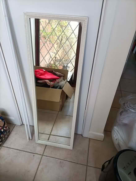 Photo of free Mirror (Lychpit RG24) #1