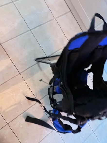 Photo of free Vango Champ Baby Carrier (Wheatpieces) #4