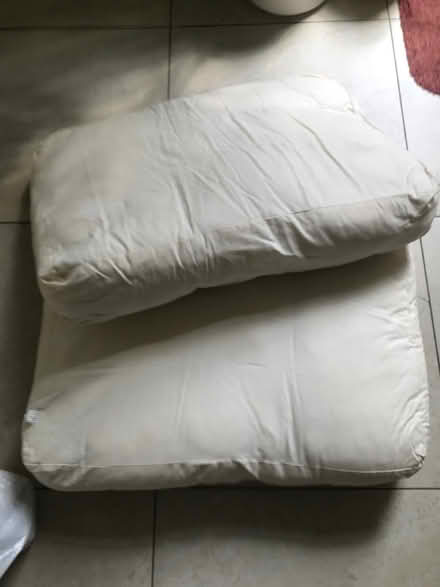 Photo of free Sofa cushions (Shepherds Bush) #1