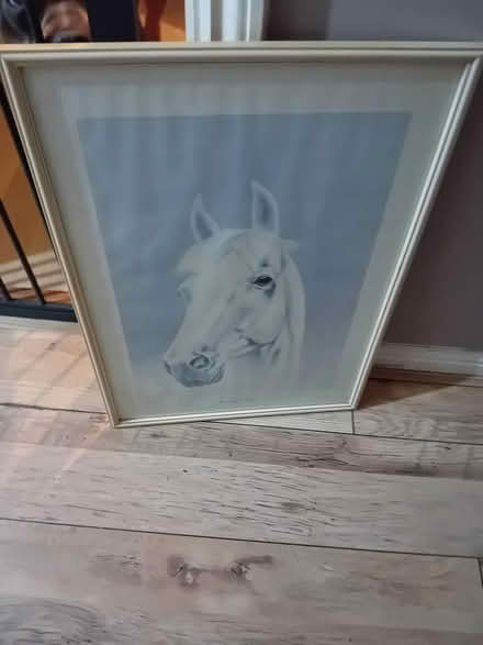 Photo of free horse pitcure (horsham RH12) #1