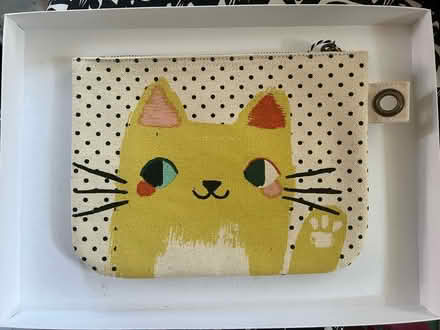 Photo of free Cat pouch (Spring Hill) #1