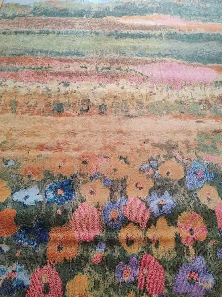 Photo of free Large Rug 10' x 7' 305cm x 216cm (Southsea PO4) #1