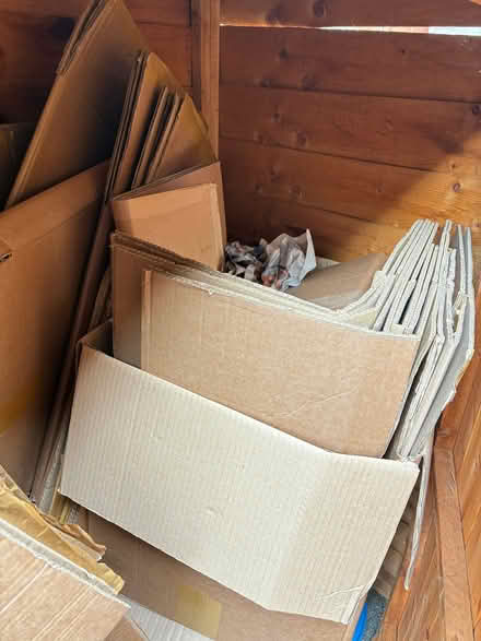 Photo of free Packing materials - cardboard boxes and newspaper (New Town CO1) #1