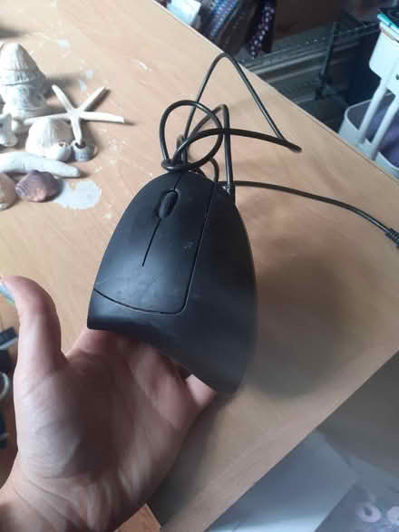Photo of free Anker ergonomic mouse (Seymour road N80) #1