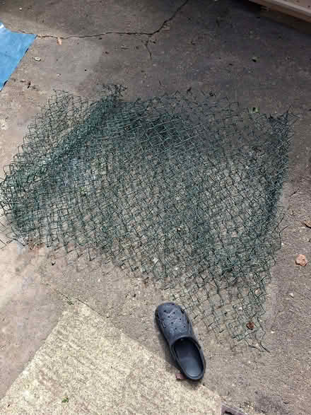 Photo of free Green wire mesh fencing (Eaton NR4) #1