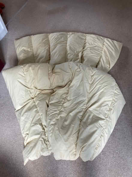 Photo of free Single feather and down duvet (Catton NR6) #1
