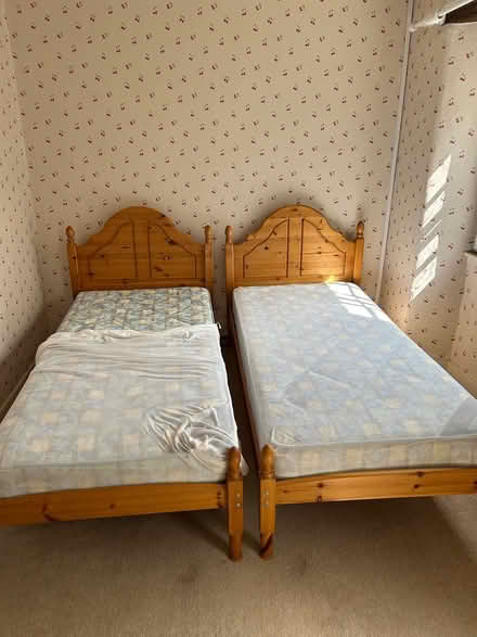 Photo of free Single bed (Somerton, Somerset) #1