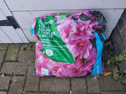 Photo of free Azalea rhododendron and Camelia compost (Hazlemere HP15) #1