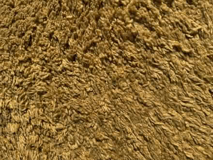 Photo of free La Redoute rug (Meldreth) #2