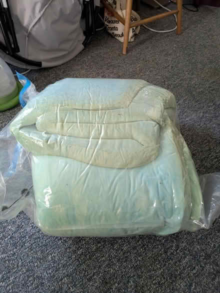 Photo of free foam mattress topper (Ann Arbor / near Kerrytown) #1