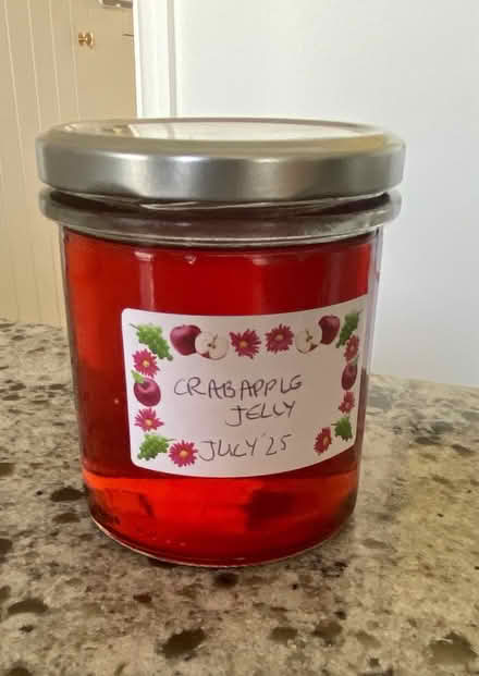 Photo of free Crab apples (N11 Bounds Green) #2