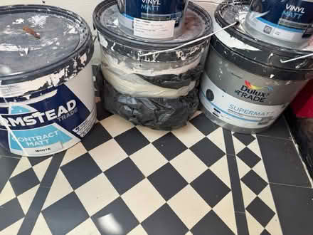 Photo of free Paint & building decorating (N10) #1